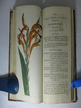 THE BOTANICAL MAGAZINE; or, FLOWER-GARDEN DISPLAYED: in which the most Ornamental Foreign Plants, cultivated in the Open Ground, the Green-House, and the Stove, are accurately represented in their natural Colours. (Volume 1)