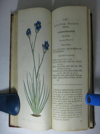 THE BOTANICAL MAGAZINE; or, FLOWER-GARDEN DISPLAYED: in which the most Ornamental Foreign Plants, cultivated in the Open Ground, the Green-House, and the Stove, are accurately represented in their natural Colours. (Volume 1)
