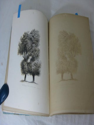 THE TREES OF AMERICA (Part No. 4)