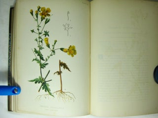 The Native Flowers and Ferns of the United States in their Botanical, Horticultural, and Popular Aspects. Four volumes