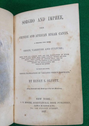 SORGHO AND IMPHEE, THE CHINESE AND AFRICAN SUGAR CANE. A TREATISE ON THEIR ORIGIN, VARIETIES AND CULTURE; THEIR VALUE AS A FORAGE CROP; AND THE MANUFACTURE OF SUGAR, SYRUP, ALCOHOL, WINES, BEER, CIDER, VINEGAR, STARCH AND DYE-STUFFS; WITH A PAPER BY LEONARD WRAY ESQ., OF CAFFRARIA, AND A DESCRIPTION OF HIS PATENTED PROCESS FOR CRYSTALLIZING THE JUICE OF THE IMPHEE. TO WHICH ARE ADDED, COPIOUS TRANSLATIONS OF VALUABLE FRENCH PAMPHLETS*.