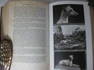 THE PRACTICAL DOG BOOK With Chapters on the Authentic History of All Varieties hitherto unpublished, and a Veterinary Guide and Dosage Section, and Information on Advertising and on Exporting to All Parts of the World.