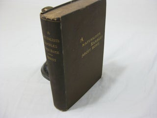 Item #26247 A NATURALIST'S RAMBLES ABOUT HOME. Charles C. Abbott