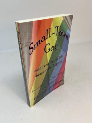 Item #31082 SMALL-TOWN GAY essays on Family life beyond the big city. Elizabeth Newman, Curt Johnson