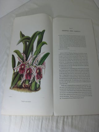 SELECT ORCHIDACEOUS PLANTS 1862.